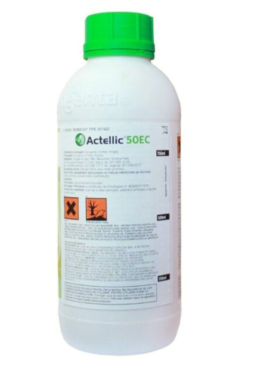 Actellic 50 EC insecticid musculite