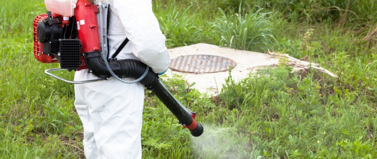 Tantarii: cum sa scapi de ei cu insecticide eficiente