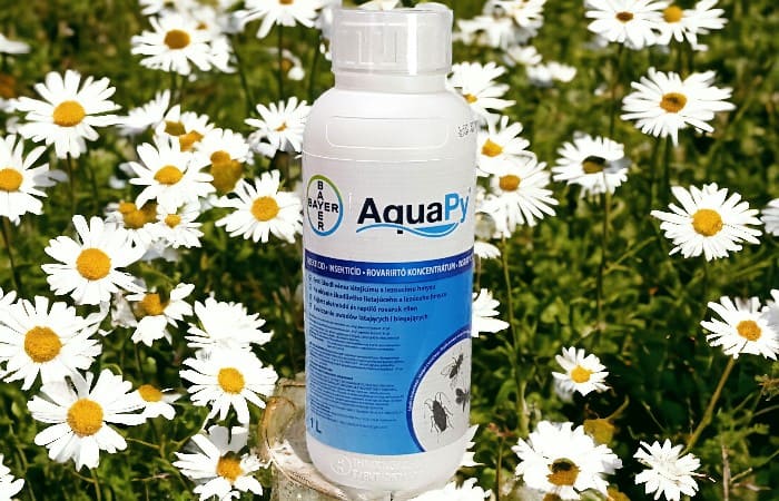 Insecticid Aqua Py 165 EW (extract de piretru), Bayer