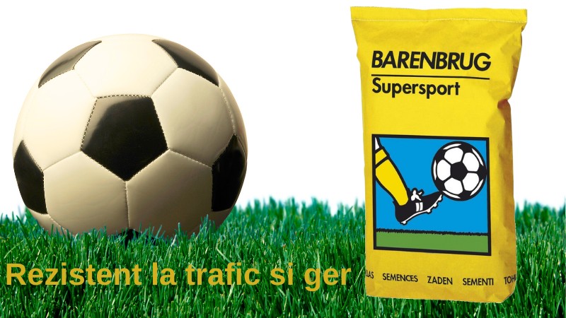 Gazon Barenbrug Supersport