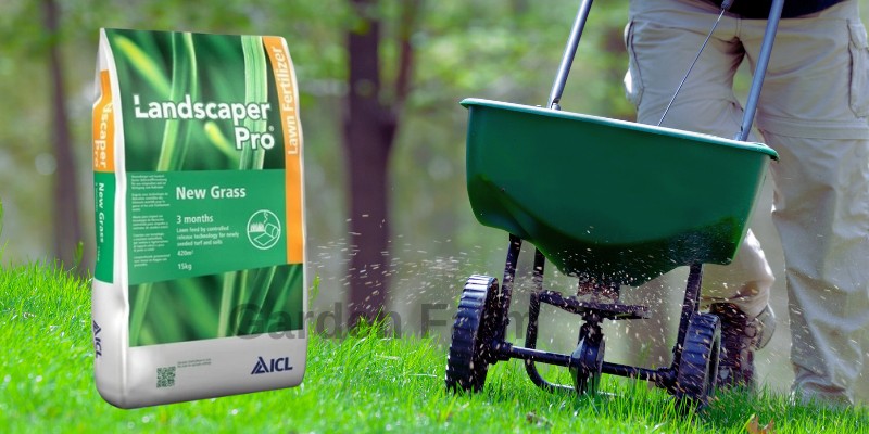 Ingrasamant gazon starter Landscaper Pro NEW GRASS: