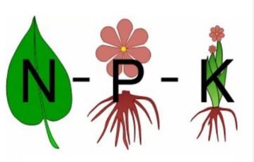 ingrasaminte cu azot fosfor si potasiu