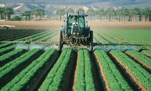 insecticid agro pentru culturi legume Karate Zeon