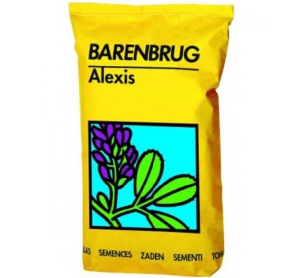 seminte lucerna Barenbrug Alexis