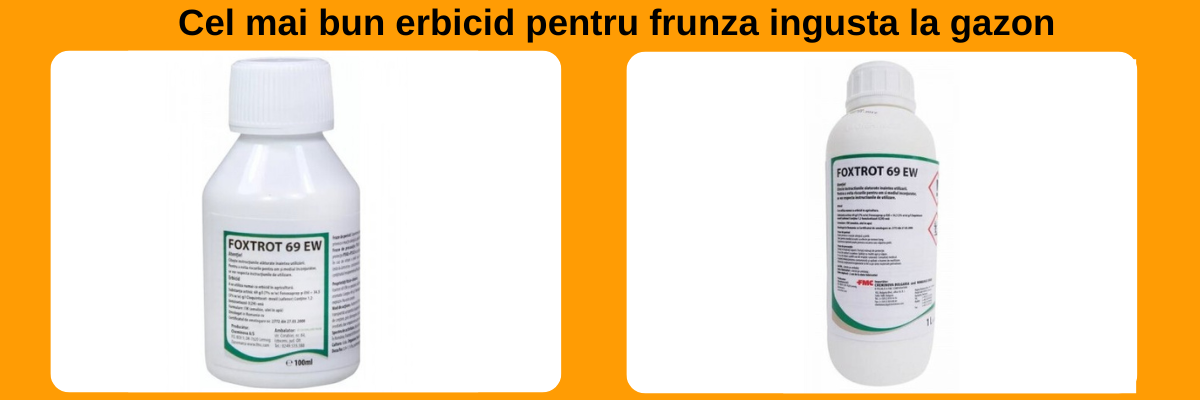 Erbicid frunza ingusta sau costrei