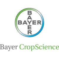 Bayer