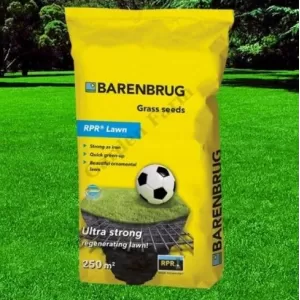 Seminte Premium Barenbrug RPR Lawn (5 kg) pentru gazon rezistent