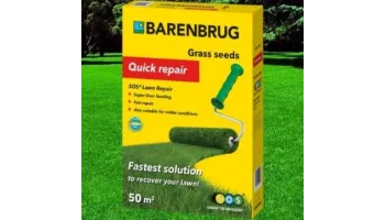 Barenbrug RPR Lawn