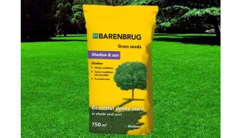 Barenbrug Shadow