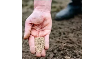 cultivarea plantelor in gradina ta