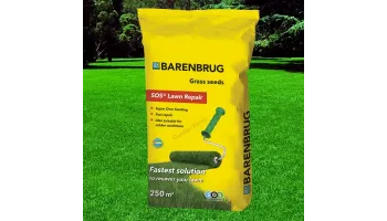 Premium Barenbrug SOS