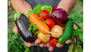 ingrasaminte pentru legume bio