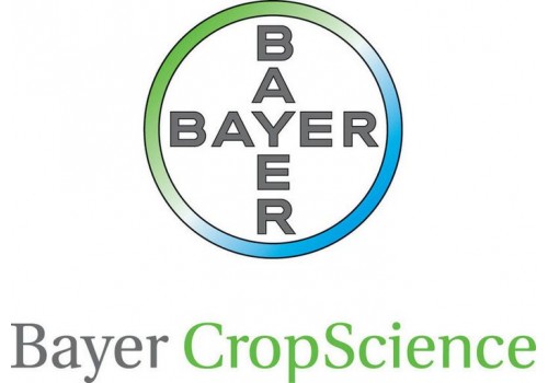 Bayer