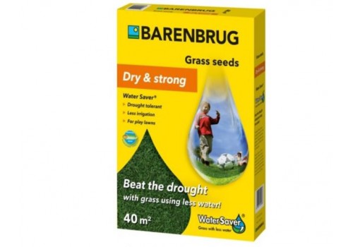 seminte gazon premium Barenbrug Watersaver