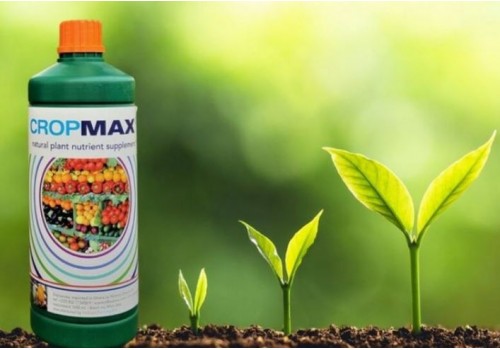 ingrasamant foliar natural Cropmax