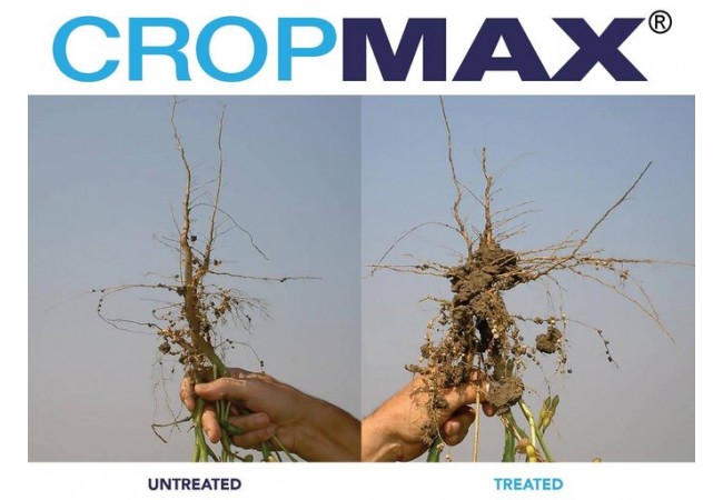 ingrasamant cropmax