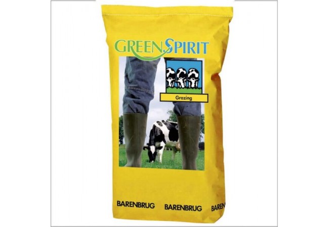 Barenbrug Green Spirit